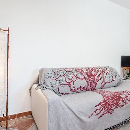 Holiday House Li Piri San Teodoro  Dış mekan fotoğraf